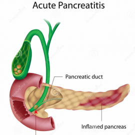 Pancreatitis. German New Medicine Education.