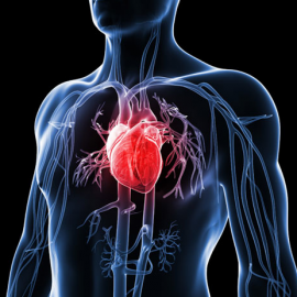 Heart Attacks. Myocardial Infarcts | Coronary Infarcts.