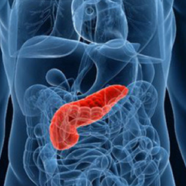 Pancreatic Cancer