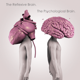 The Reflexive Brain
