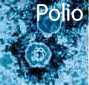 polio10