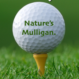 Nature’s Mulligan