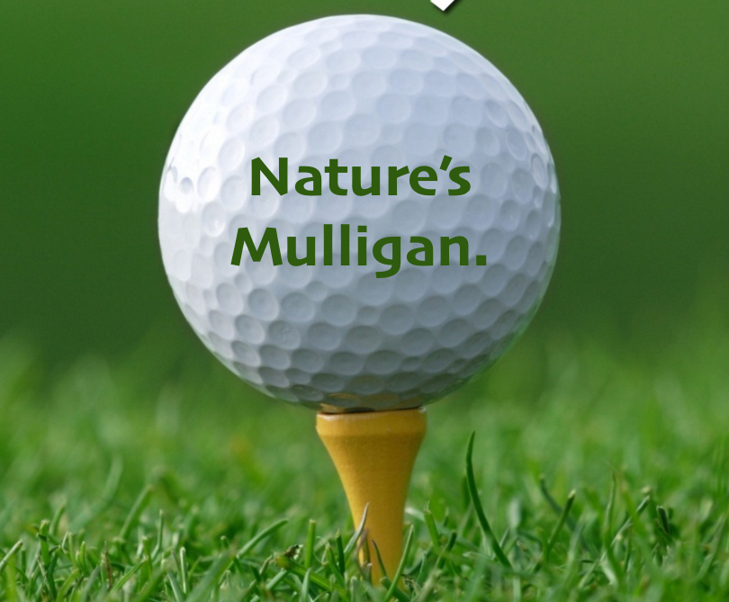 Nature's Mulligan