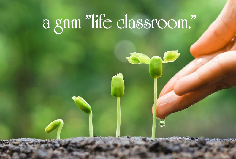 GNM "life classroom" - German New Medicine